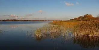 Вид на озеро Лайдзес осенью 2011 года