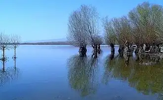 Озеро весной 2007 года