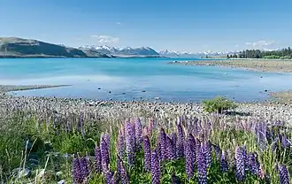 Вид на озеро с южного берега в ноябре 2017 г.