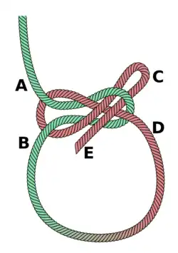 Lapp knot.
