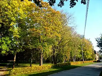 Вид на Детский парк