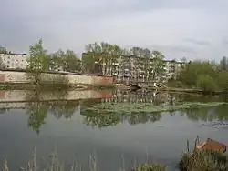 Запруда и мостик в Октябрьском мкр Ногинска