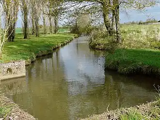 Исток реки Бёс на территории Мезанже