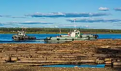 Плотовой лесосплав на Енисее. Лесосибирск, Красноярский край, 2012 г.