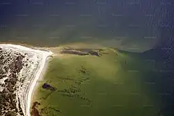 Мыс Лийвсяэре