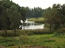 Река Куделя в Лишне