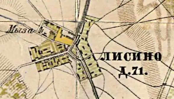 План деревни и мызы Лисино. 1885 год