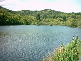 Вид через пруд на лес Ллин-и-Гарнет