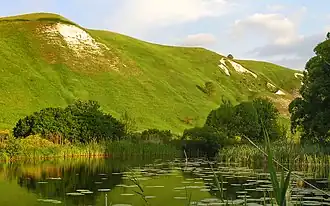 Корень у Крапивенского городища.