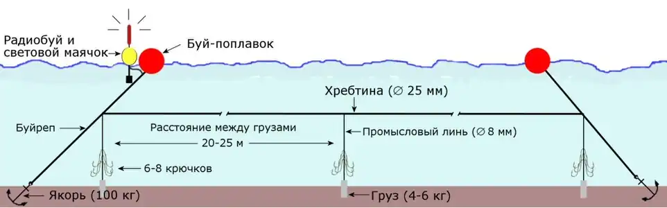 Схема постановки донного тротлайн-яруса