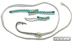 Крючок «Mustad» на белом нейлоновом поводце (крепящийся к зелёному полипропиленовому промысловому линю), применяемый для лова антарктического клыкача испанским донным ярусом