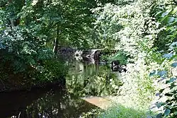 Нижнее течение реки Лосисвозле села Кални летом 2017 года.