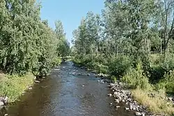 Лососинка в нижнем течении перед впадением в Онежское озеро