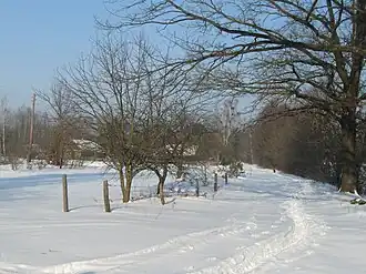 Деревня в 2012 году