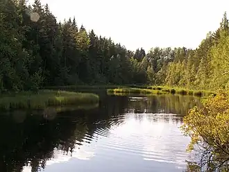 Серебристая в районе Заходского