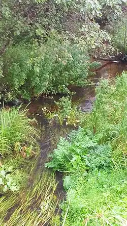 Река Луговка