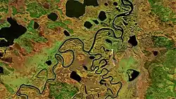 Устьевой участок (снизу изображения)