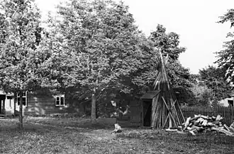 Двор хутора Оя, 1953 год