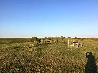 кладбище хутора летом 2019 года