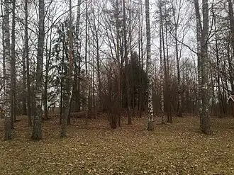 Место, где раньше стояло главное здание мызы Менцен (Мынисте)