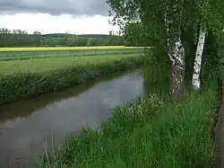 Мюленвора — рукав Воры