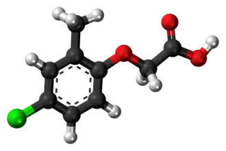 Изображение молекулярной модели