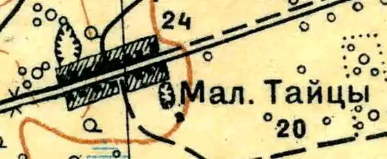 План деревни Малые Тайцы. 1931 год