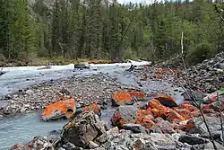 Мажой на высоте 1900 м