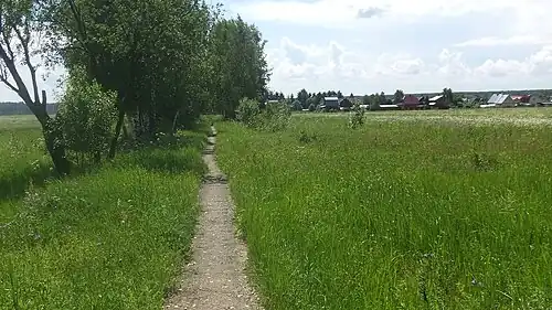 Тропинка от ж.д. платформы