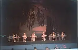 «Лебединое озеро», 2004 год