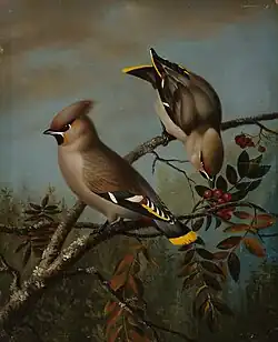 Свиристели