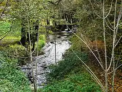 Река Мануар