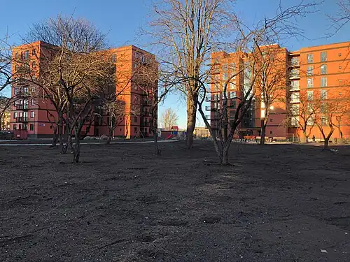 Новостройки, март 2019 года