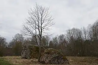 Ледниковые валуны Мардимику в деревне Локса