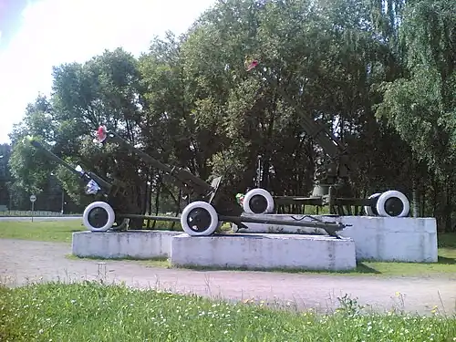 Зенитные орудия.