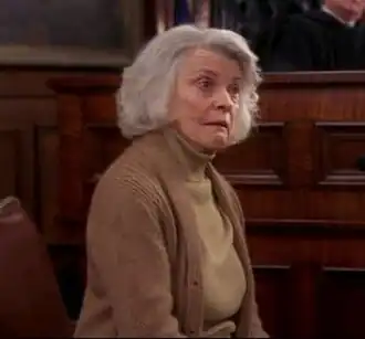 В телесериале «Защитник» (2002)