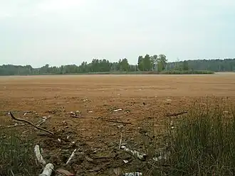 Озеро летом 2010 года