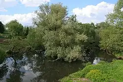 Верхнее течение Медынки в городе Медынь