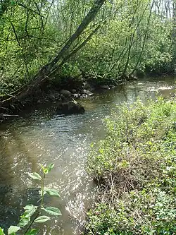 Река весной 2008 года.