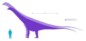 Сравнение размеров двух образцов