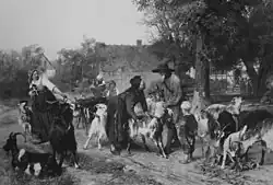 Торговец козами в деревне