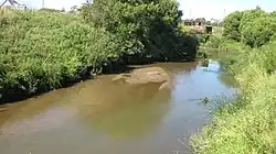 Межень на Пахме в районе садовых участков