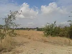 Верховье балки у  Межгорного