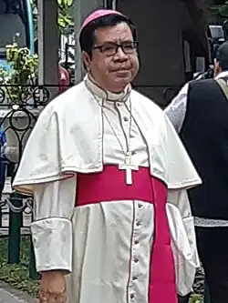 Паулин Ян Олла