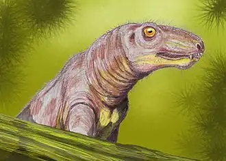 Реконструкция головы Microurania minima