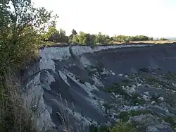 Разрез Милановского в 2020