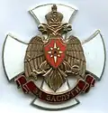 Нагрудный знак «За заслуги» МЧС России