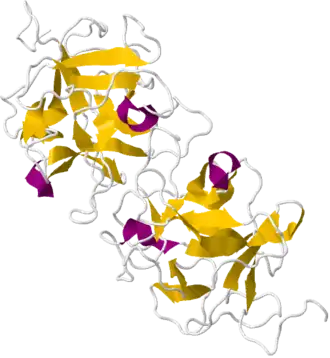 Кристаллографическая структура димерного миракулина.
