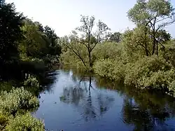 Миса возле Петерниеков