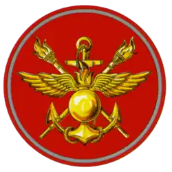 Нарукавный знак члена управления до 2011 года